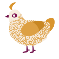 Dawn, a cream and orange chicken with a double-lace pattern