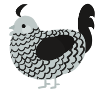 A silver and sable chicken with a lace pattern