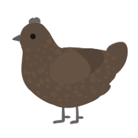 A bark chicken with a speckle pattern