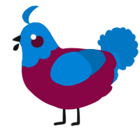 A maroon and sapphire chicken with a head pattern