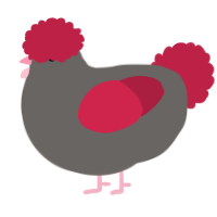 A grey and crimson chicken