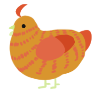 A orange and vermilion chicken with a bar pattern