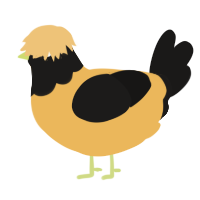A honey and sable chicken with a head pattern