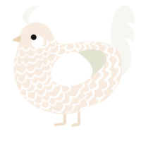 A cream and white chicken with a lace pattern