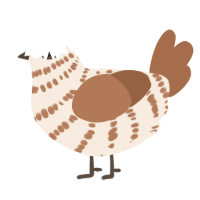 A cream and brown chicken with a bar pattern