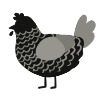 A black and ash chicken with a lace pattern