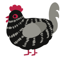 A black and ash chicken with a bar pattern
