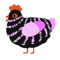 A black and lavender chicken with a bar pattern