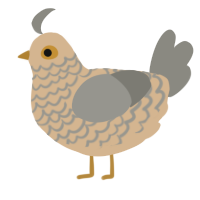 A beige and ash chicken with a lace pattern