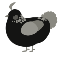 A black and ash chicken with a neck-speckle pattern
