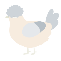 A cream and mist chicken