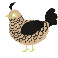 A beige and sable chicken with a lace pattern
