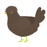 A bark chicken with a speckle pattern