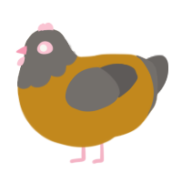 A ochre and grey chicken with a head pattern