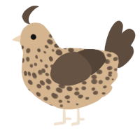 A beige and bark chicken with a speckle pattern