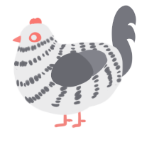 A black and ash chicken with a bar pattern