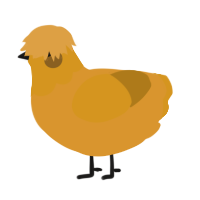 (unnamed), a orange and ochre chicken with a head pattern