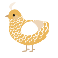 A honey and cream chicken with a lace pattern