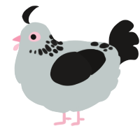 A silver and sable chicken with a neck-speckle pattern