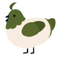 A cream and olive chicken with a head pattern