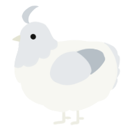 A white and mist chicken with a head pattern
