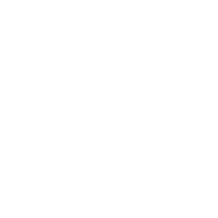 A white chicken with a half-lace pattern