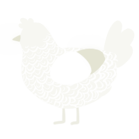 A white chicken with a double-lace pattern