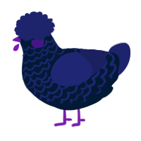 A tumblr and navy chicken with a lace pattern
