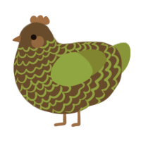 A bark and chartreuse chicken with a lace pattern