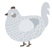 A mist chicken with a lace pattern