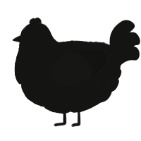 A black chicken with a lace pattern