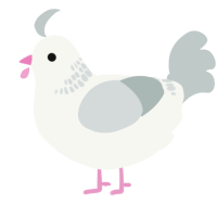 A white and silver chicken with a neck-band pattern