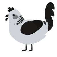 A mist and sable chicken with a neck-band pattern