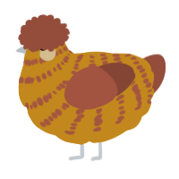 A ochre and russet chicken with a bar pattern