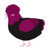 A sable and wine chicken with a head pattern