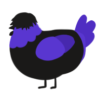 A sable and indigo chicken with a head pattern
