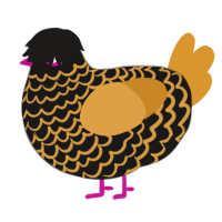 A sable and orange chicken with a lace pattern
