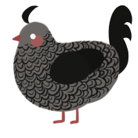 A grey and black chicken with a double-lace pattern