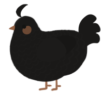 A sable chicken with a lace pattern