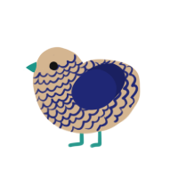 Zaley, a cream and navy chicken with a lace pattern