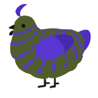 A olive and indigo chicken with a bar pattern