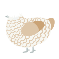 A white and beige chicken with a lace pattern