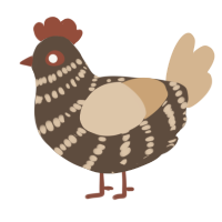A bark and beige chicken with a bar pattern
