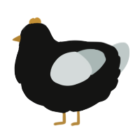 A black and silver chicken