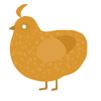 A orange chicken with a speckle pattern