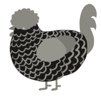 A sable and ash chicken with a lace pattern