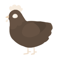 A bark chicken with a head pattern