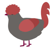 A grey and red chicken