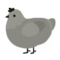 Stone, a ash chicken with a head pattern