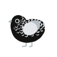 Eclipse, a black and mist chicken with a half-lace pattern